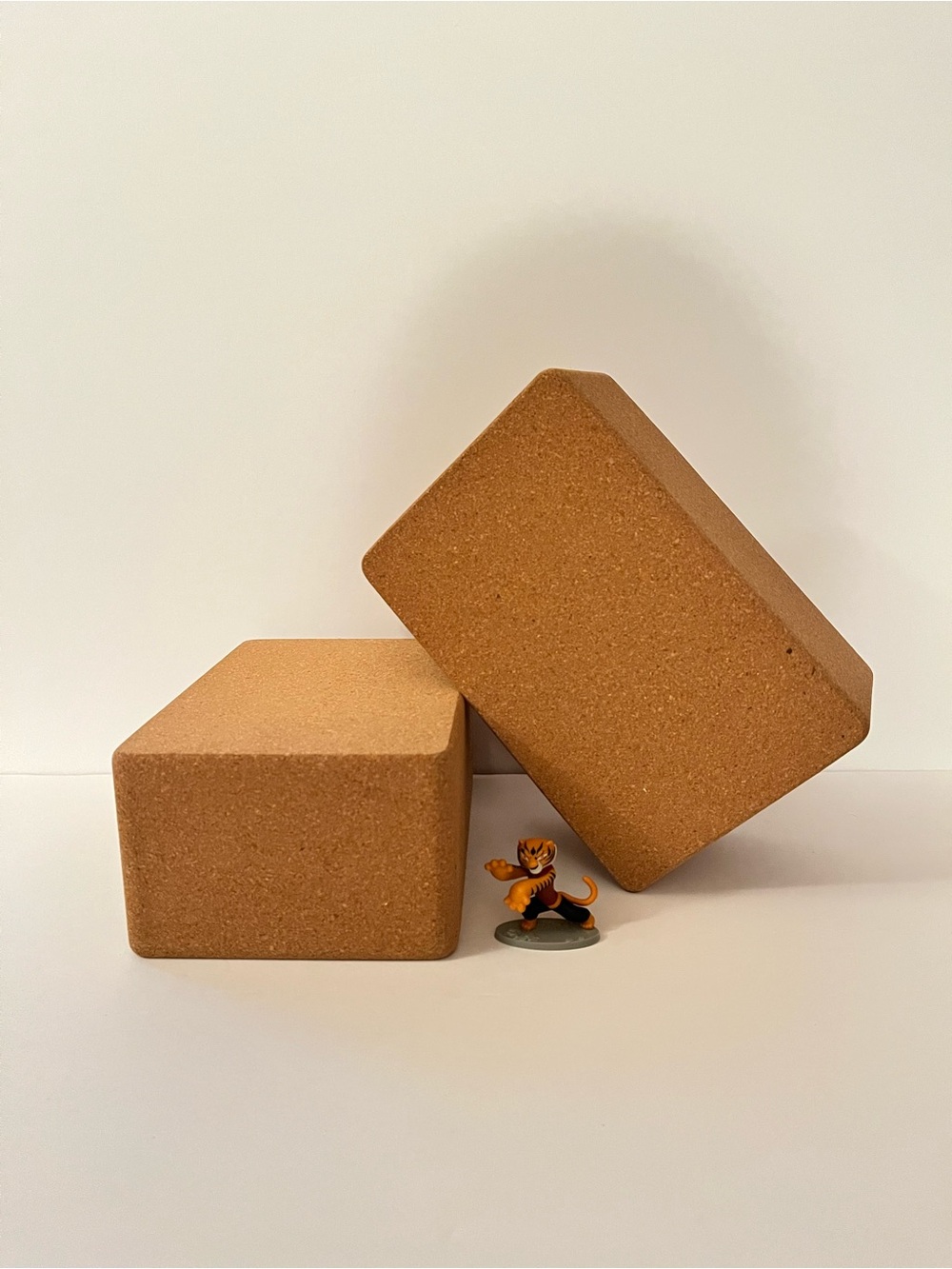 Eco-Friendly Premium Weighted Cork Yoga Blocks (Set of 2)